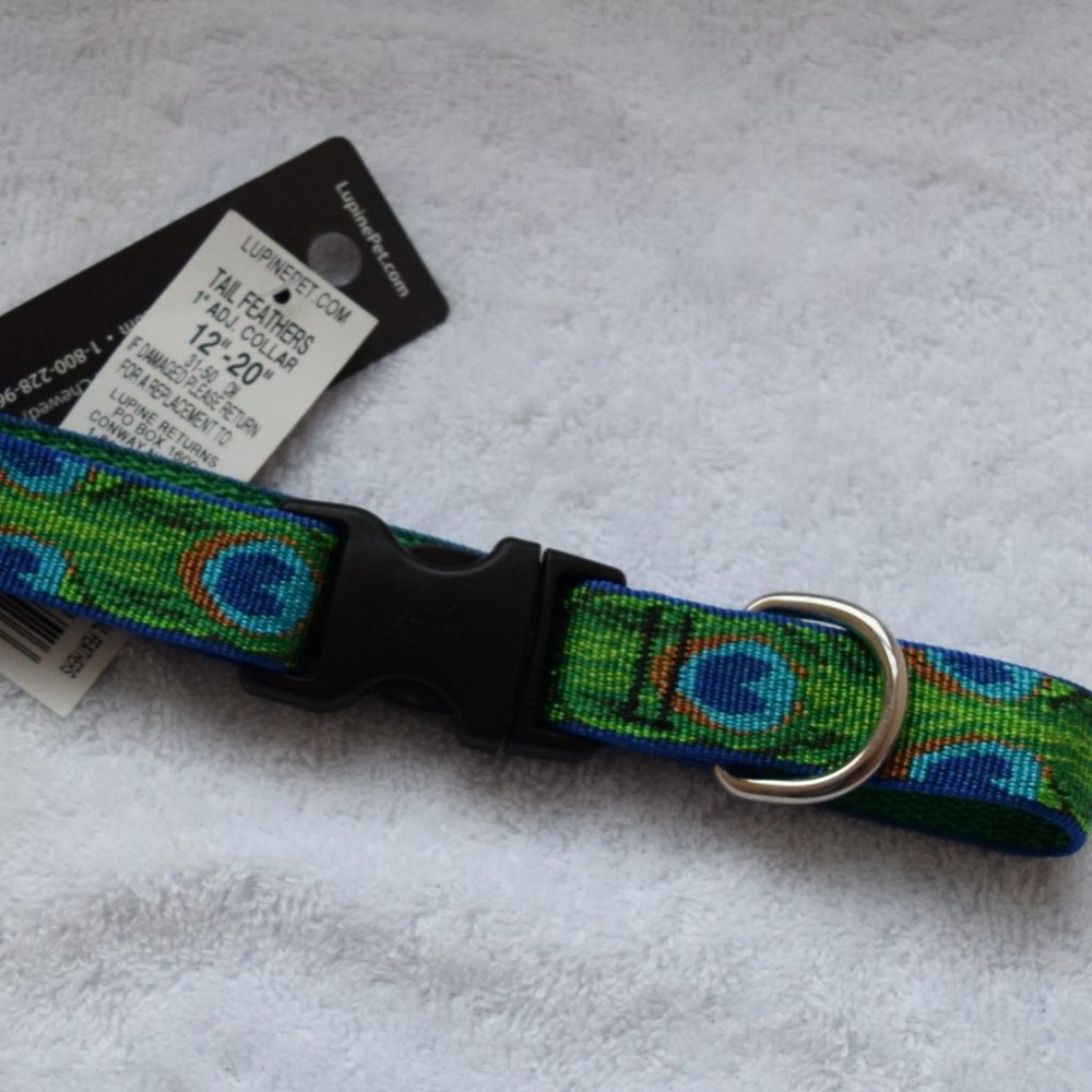 Fancy Dog Collar